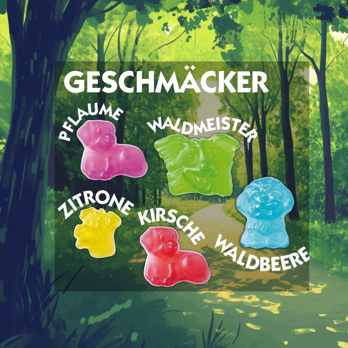 Vorschaubild 2